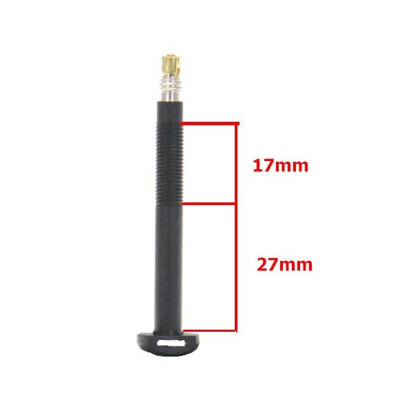 CARBONARIA - TUBELESS VALVE SET - 55MM