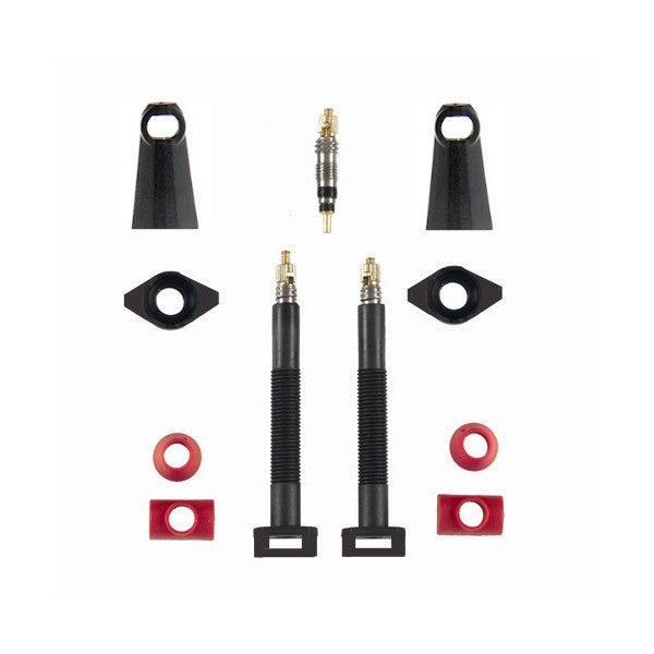 CARBONARIA -  TUBELESS VALVE SET - 55MM