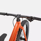 SPECIALIZED - KIDS BIKE - RIPROCK 24'' - ORANGE